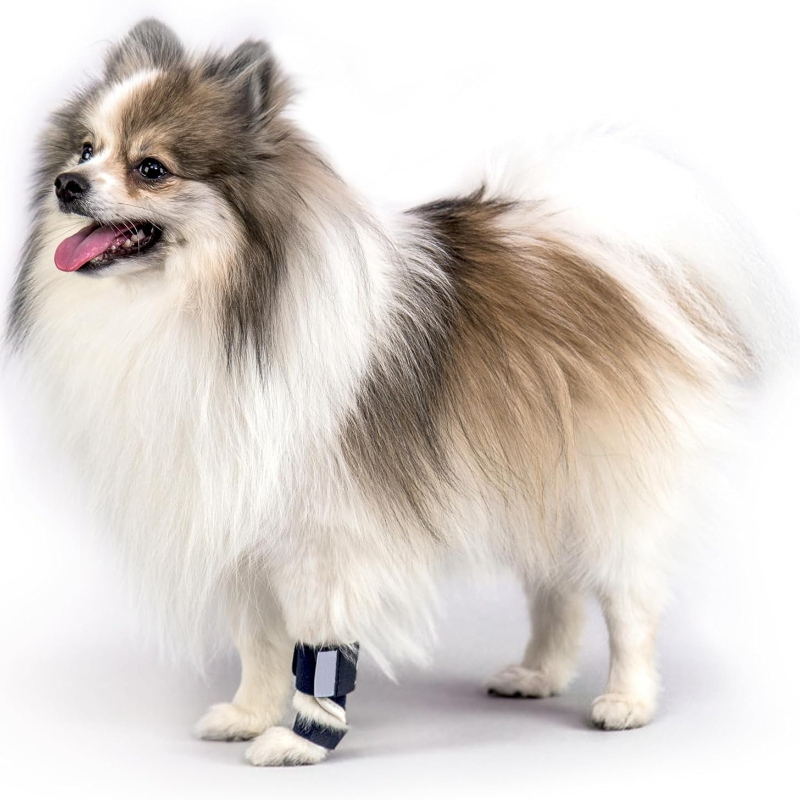 Carpale hyperextensie hondensp - Ankle Mobility Band recensie en prijs